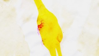 Sara Greenberger Rafferty - Chicken Sara Greenberger Rafferty - Chicken