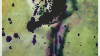 Sara Greenberger Rafferty - Fig (Jump) Sara Greenberger Rafferty - Fig (Jump)