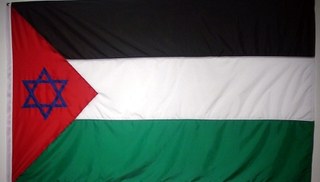 Carolina Caycedo - Palestine-Israel Flag